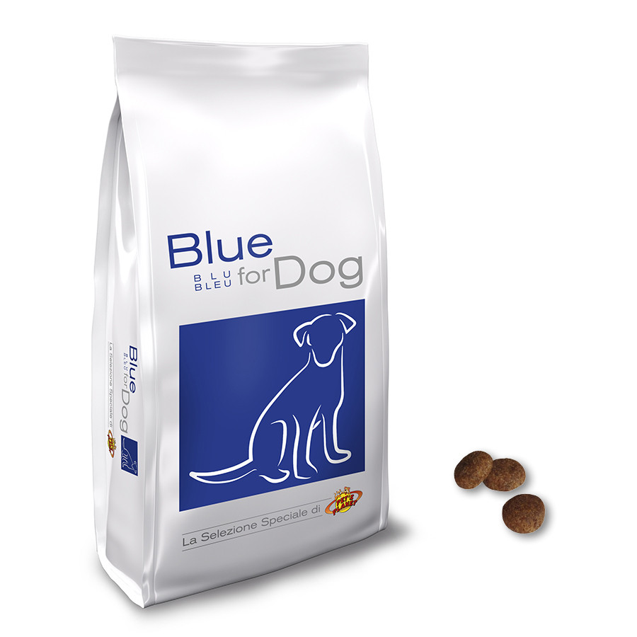 Blue for Dog