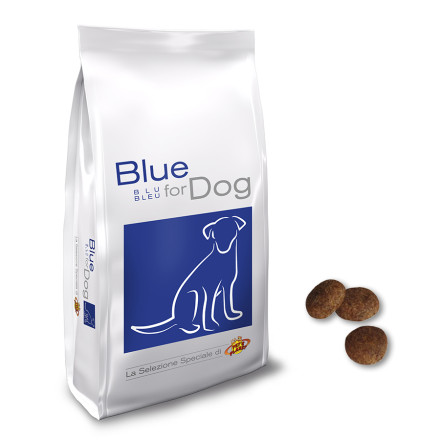 Blue for Dog