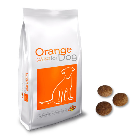 Orange for Dog