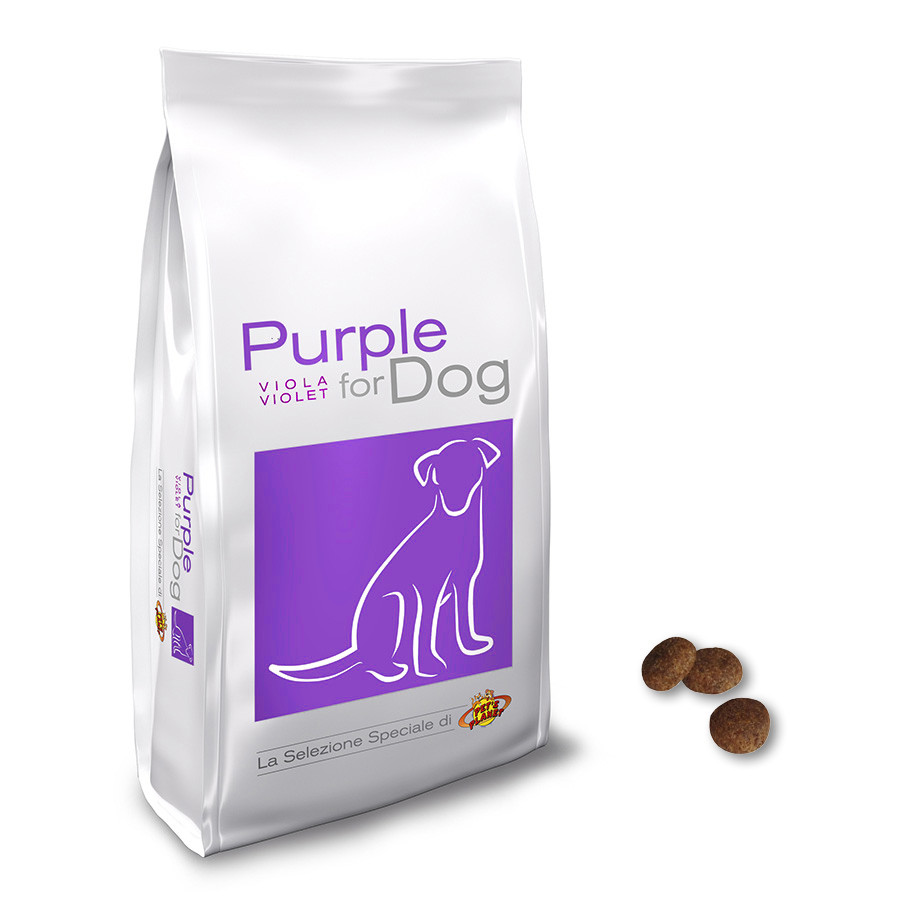 Purple for Dog