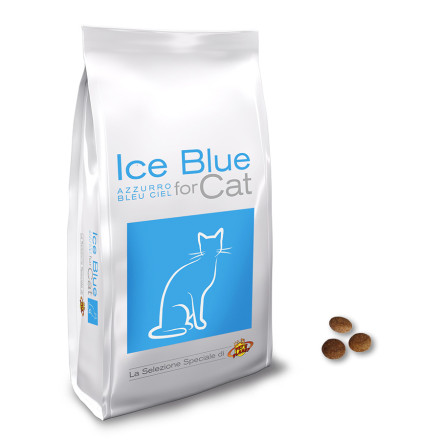 Ice Blue for Cat