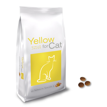 Yellow for Cat