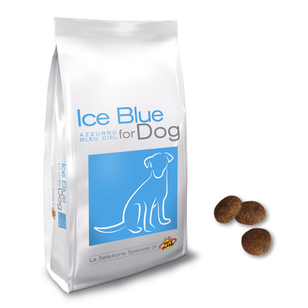 Ice Blue for Dog