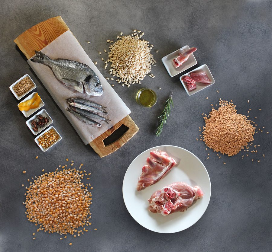 Ingrédients naturels Pet's Planet : poissons frais, viandes, céréales complètes